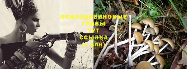 круглые Арсеньев